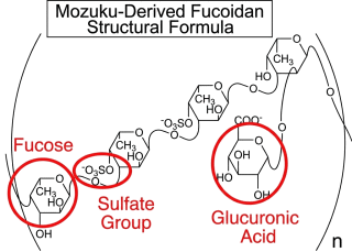 Structural Formula of Mozuku-Derived Fucoidan